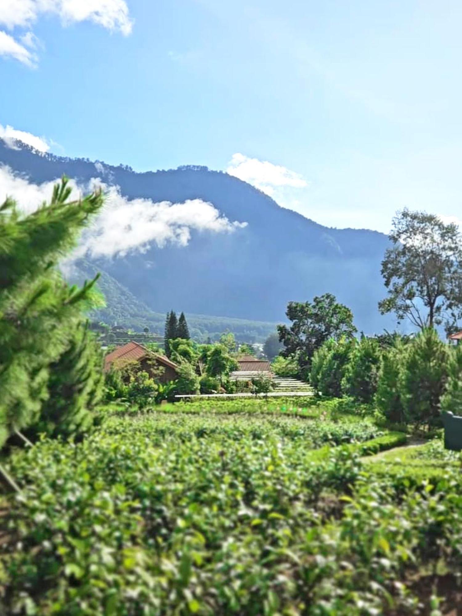 فندق Dusun Bedugul Asri المظهر الخارجي الصورة