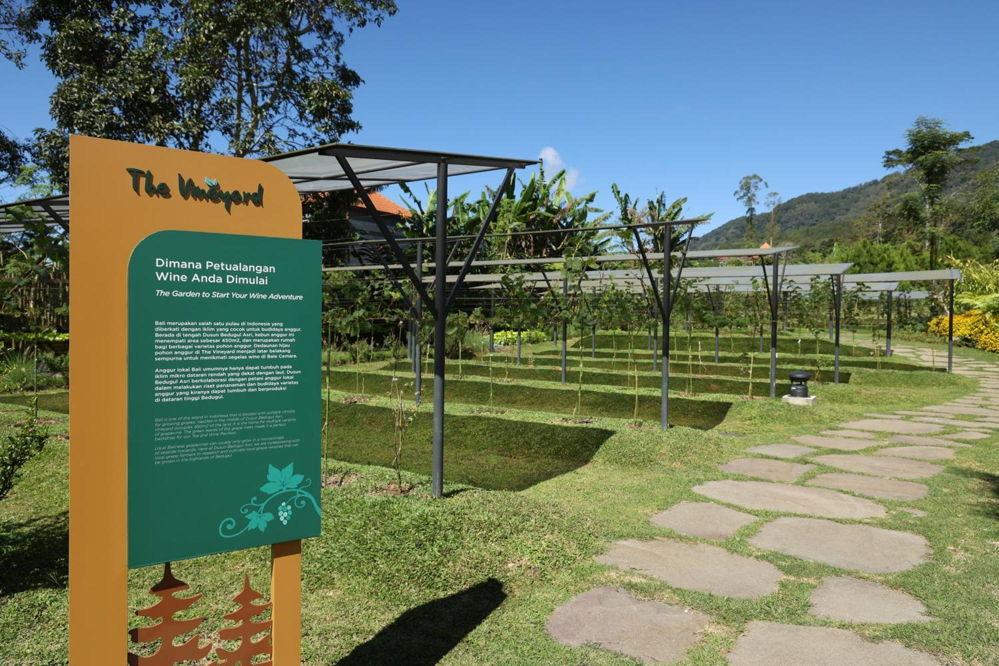 فندق Dusun Bedugul Asri المظهر الخارجي الصورة
