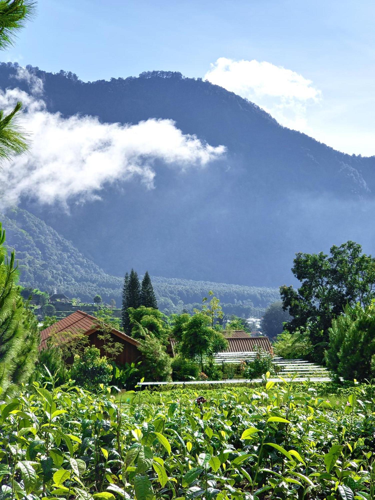 فندق Dusun Bedugul Asri المظهر الخارجي الصورة